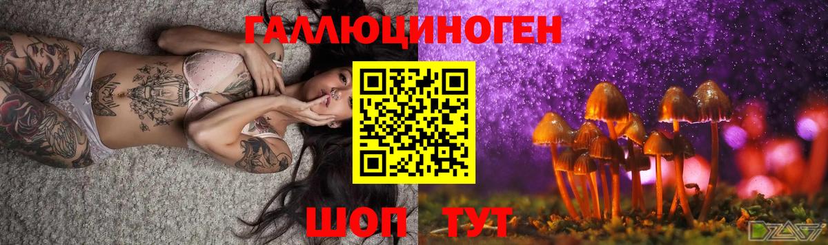 Галлюциногенные грибы Psilocybine cubensis  закладки  Свободный  Вход с VPN  Галлюциногенные грибы GOLDEN TEACHER 